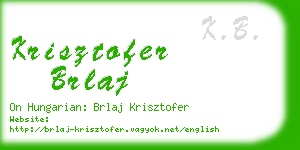 krisztofer brlaj business card